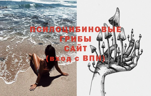 PSILOCYBIN Арсеньев