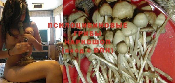 PSILOCYBIN Арсеньев