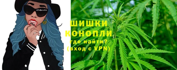 PSILOCYBIN Арсеньев