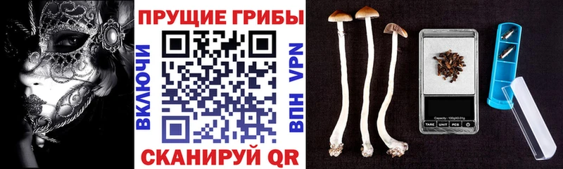 Галлюциногенные грибы Magic Shrooms  Рыльск 